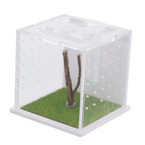 POPETPOP Acryl-Terrarium Für Springspinnen Klein Ohne Lebensraum Luftbefeuchter Fütterungsöffnung Spinnenzuchtbox Lebensraumkäfig von POPETPOP