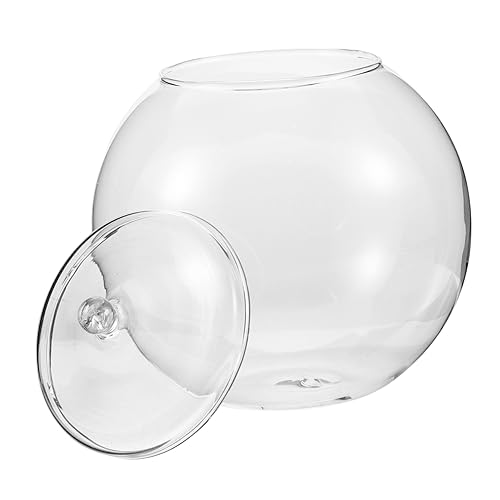 POPETPOP Sukkulenten-pflanzenständer Glasflasche Landschaftspflanzer Für Zuhause Und Büro Dekoration von POPETPOP