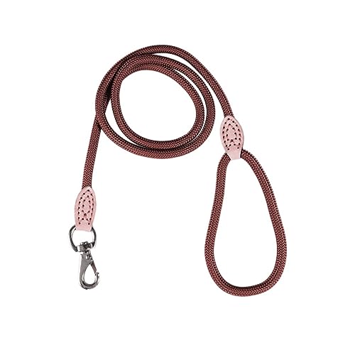 POPETPOP Strapazierfähige Leine Trainingsleine Für Hunde Hundeleine Trainingsleine Aus Nylon Leinen Haustier POPETPOP Strapazierfähige Leine Trainingsleine Für Hunde Hundeleine Trainingsleine Aus Nylon Leinen Haustier von POPETPOP