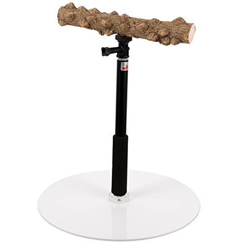 POPETPOP Papageienbarsch Vogel Steht Für Papageien Vogel-Gym Steht Verstellbare Papageienstange Spielständer Aus Papagei Kauspielzeug Vogel Spielstand Vögel Metall Einstellbar POPETPOP Papageienbarsch Vogel Steht Für Papageien Vogel-Gym Steht Verstellbare Papageienstange Spielständer Aus Papagei Kauspielzeug Vogel Spielstand Vögel Metall Einstellbar von POPETPOP