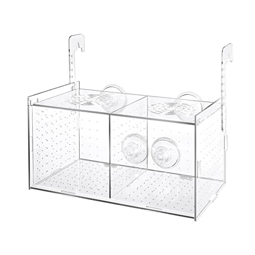 POPETPOP Fisch Box - Acryl Fischzuchtbox Fisch Züchter Box mit 4 Saugnäpfen für Babyfische Garnelen Guppy Clownfish Aggressive Fisches von POPETPOP