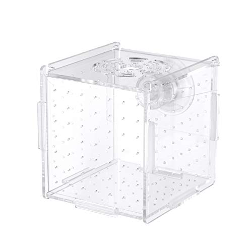 POPETPOP Fischzuchtbox - Isolationsbox Züchter Brutkasten Brutkasten Aquarium Fischzuchtboxen Trennwand Brutkästen Zubehör für kleine Babyfische Garnelen Clownfisch Guppy-kleiner Saugnapf von POPETPOP