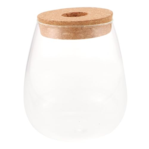 POPETPOP Hydroponische Pflanzenflasche Aus Glas Für Die Inneneinrichtung Und Landschaftsgestaltung POPETPOP Hydroponische Pflanzenflasche Aus Glas Für Die Inneneinrichtung Und Landschaftsgestaltung von POPETPOP