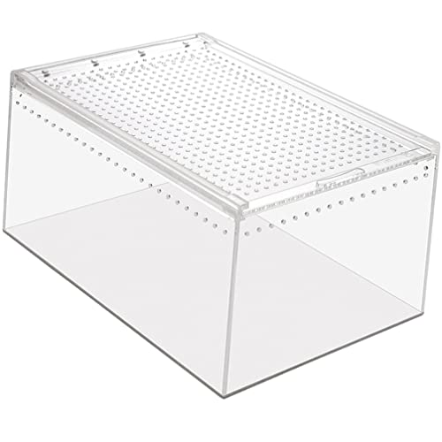 POPETPOP Gehäuse Futterbox Für Reptilien Sprungspinnengehege Einsiedlerkrebsbecken Schlange Terrarium Reptilienversteck Spinnen Terrarien Reptilienkäfig Schneckenfutterbehälter Acryl Klein Tier von POPETPOP