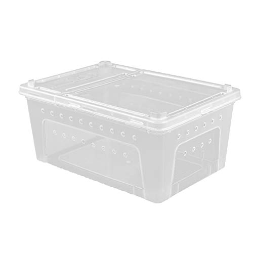 POPETPOP Futterbox für Reptilien, Kunststoff, offen, für Schildkröten, Insekten, Schlange (weiß) von POPETPOP