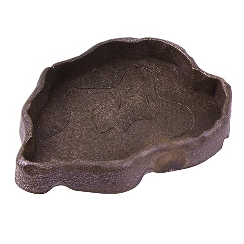 POPETPOP Futternapf Für Reptilien Schüsseln Für Reptilien Bartagame Futternapf Schildkrötenfutter Heizmatte Reptil Wasser Futternapf Reptil Reptilienschale Fütterung Essen Coffee POPETPOP Futternapf Für Reptilien Schüsseln Für Reptilien Bartagame Futternapf Schildkrötenfutter Heizmatte Reptil Wasser Futternapf Reptil Reptilienschale Fütterung Essen Coffee von POPETPOP