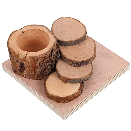 POPETPOP Futternapf für Hamster Heu Hasenschalen meerschweinchen Futter hamsterkäfig zubehör Hamster zubehör für den käfig Hamster-Ratten-Leiter Hamsterplattform Apfelholz POPETPOP Futternapf für Hamster Heu Hasenschalen meerschweinchen Futter hamsterkäfig zubehör Hamster zubehör für den käfig Hamster-Ratten-Leiter Hamsterplattform Apfelholz von POPETPOP