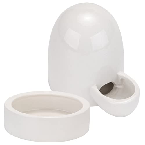 POPETPOP Geflügel-Wasser-futterspender Hühnertränke Und Futternapf-Set Für Den Heimgebrauch POPETPOP Geflügel-Wasser-futterspender Hühnertränke Und Futternapf-Set Für Den Heimgebrauch von POPETPOP