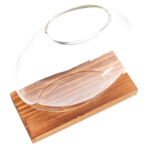 POPETPOP Glas Pflanzvase Terrarium Klein Für Dekoration Vasen Heimdekoration Schreibtisch Dekoration Ornamente Für Geformte Dekorative Wasserpflanzgefäße Dekoration POPETPOP Glas Pflanzvase Terrarium Klein Für Dekoration Vasen Heimdekoration Schreibtisch Dekoration Ornamente Für Geformte Dekorative Wasserpflanzgefäße Dekoration von POPETPOP