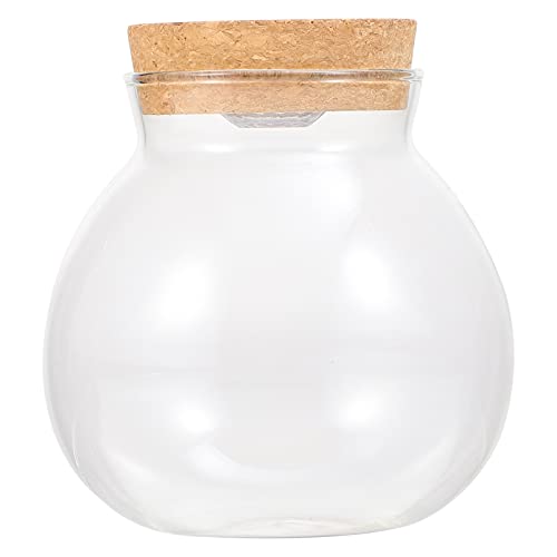 POPETPOP Glasflaschen, Glasflaschen, Glas-Terrarium-Behälter, Mikro-Landschaft, DIY-Flasche, Terrarium, Pflanzen, Mikro-Landschaftsvase mit LED-Licht, 43,2 x 38,1 cm, 5 x 15 cm, kleine Glasflaschen POPETPOP Glasflaschen, Glasflaschen, Glas-Terrarium-Behälter, Mikro-Landschaft, DIY-Flasche, Terrarium, Pflanzen, Mikro-Landschaftsvase mit LED-Licht, 43,2 x 38,1 cm, 5 x 15 cm, kleine Glasflaschen von POPETPOP