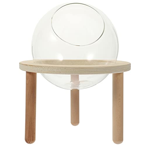POPETPOP Hamsterversteck Hamster Sandbad Box Set Kleintier Glas Sand Badewanne Mit Holzständer Regal Dusche Grabraum Bad Für Zuckersegelflugzeug Ratte Mäuse Igel POPETPOP Hamsterversteck Hamster Sandbad Box Set Kleintier Glas Sand Badewanne Mit Holzständer Regal Dusche Grabraum Bad Für Zuckersegelflugzeug Ratte Mäuse Igel von POPETPOP