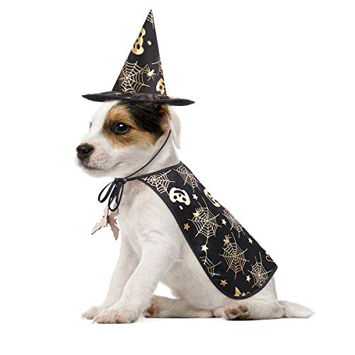 POPETPOP Kostüm Fasching Für Katze Pet Halloween Costume Cape and Wizard Hat Creative Decor Dog Performance Costume for Holiday Cosplay (Size S) Hut Für Hunde Halloween von POPETPOP