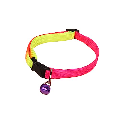 POPETPOP Haustierhalsband Hundehalsband Personalisierte Haustierhalsbänder Verstellbares Halsband für Den Zeitweisen Gebrauch Zufällige Farbe POPETPOP Haustierhalsband Hundehalsband Personalisierte Haustierhalsbänder Verstellbares Halsband für Den Zeitweisen Gebrauch Zufällige Farbe von POPETPOP