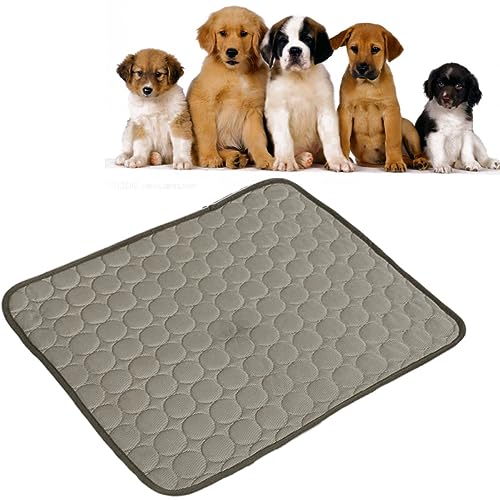 POPETPOP Kühlkissen Für Haustiere Hundebett Selbstkühlende Decke Atmungsaktives Mesh Haustierzwinger Größe 3 Kaffee POPETPOP Kühlkissen Für Haustiere Hundebett Selbstkühlende Decke Atmungsaktives Mesh Haustierzwinger Größe 3 Kaffee von POPETPOP