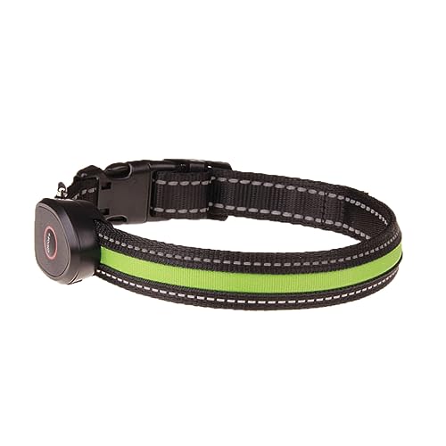 POPETPOP Halskette Haustier leichte für Hunde USB- wiederaufladbare LED Hundehalsband beleuchteter Kragen gebührenpflichtig Seil von POPETPOP