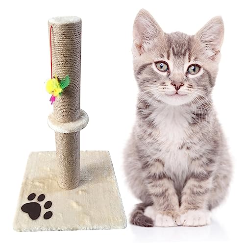POPETPOP Katzenkratzbaum für Hauskatzen Stabiler Kletterbaumständer Ruhepolster Beige Haustierzubehör POPETPOP Katzenkratzbaum für Hauskatzen Stabiler Kletterbaumständer Ruhepolster Beige Haustierzubehör von POPETPOP