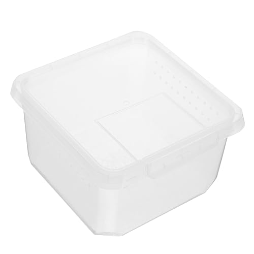 POPETPOP Reptilienbehälter Kasten Kletterbox Für Haustiere Polystyrol Inkubator Kleines Gehege Abteil Behälter Tank Kleines Insektenbecken Spinnen-Terrarium Bausatz Reptil Plastik Transparent Gehäuse von POPETPOP