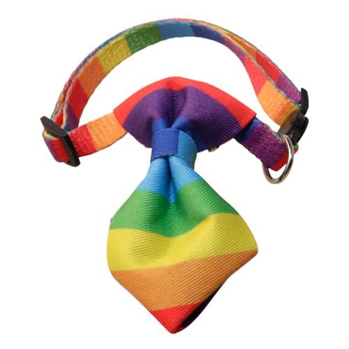 POPETPOP Katzenhalsband mit Regenbogen-Fliege, Hundehalsband, Kätzchen-Halsband, Haustier-Halsband, Sicherheits-Halsband für Mädchen, Katzen, Jungen, männliche Katzen von POPETPOP