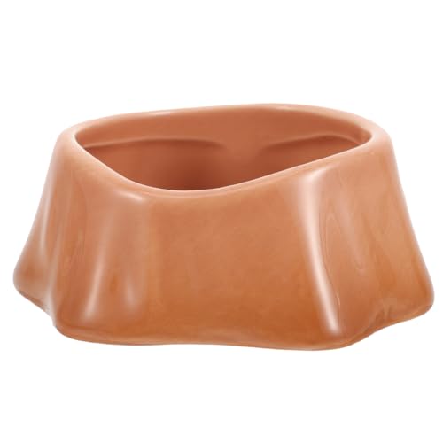 POPETPOP Keramische Futter Schale Für Hamster Und Kleintiere Rattenschale Aus Keramik rutschfest Und Kippsicher Für Meerschweinchen Und Andere Haustiere POPETPOP Keramische Futter Schale Für Hamster Und Kleintiere Rattenschale Aus Keramik rutschfest Und Kippsicher Für Meerschweinchen Und Andere Haustiere von POPETPOP