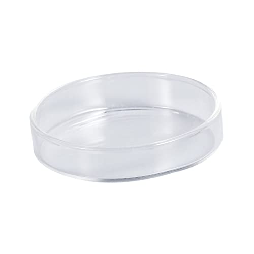 POPETPOP Klarer Glasfutterring Für Garnelen Futterschale Aus Kristallglas Für Aquarien Und Reptilien Schwimmendes Design Für Einfache Fütterung von POPETPOP