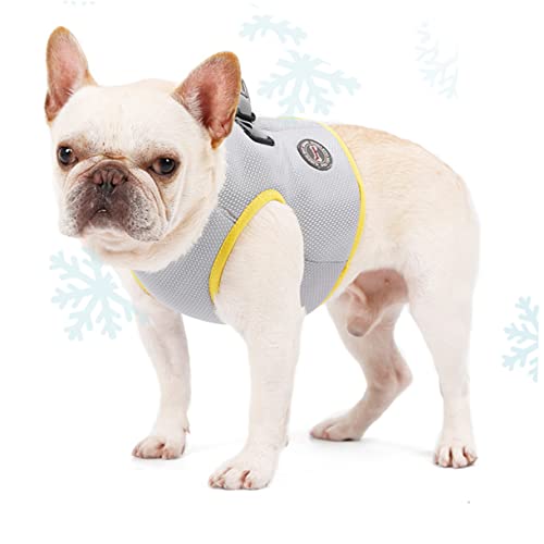 POPETPOP Hundegeschirr Ziehen Sommerhemden Kühlwesten Für Hunde Cami-aufhänger Hundewesten Für Kleine Hunde Sommerliche Hundeweste Haustier Sommerweste Cool Haustier Hund Mittlerer Hund POPETPOP Hundegeschirr Ziehen Sommerhemden Kühlwesten Für Hunde Cami-aufhänger Hundewesten Für Kleine Hunde Sommerliche Hundeweste Haustier Sommerweste Cool Haustier Hund Mittlerer Hund von POPETPOP
