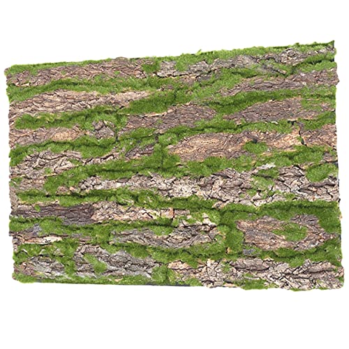 POPETPOP Terrarium Baumrinde Dekoration Für Reptilien Natürlicher Kork-Hintergrund Für Kletterhabitat Geeignet Für Schlangen Eidechsen Und Andere Kriechtiere POPETPOP Terrarium Baumrinde Dekoration Für Reptilien Natürlicher Kork-Hintergrund Für Kletterhabitat Geeignet Für Schlangen Eidechsen Und Andere Kriechtiere von POPETPOP