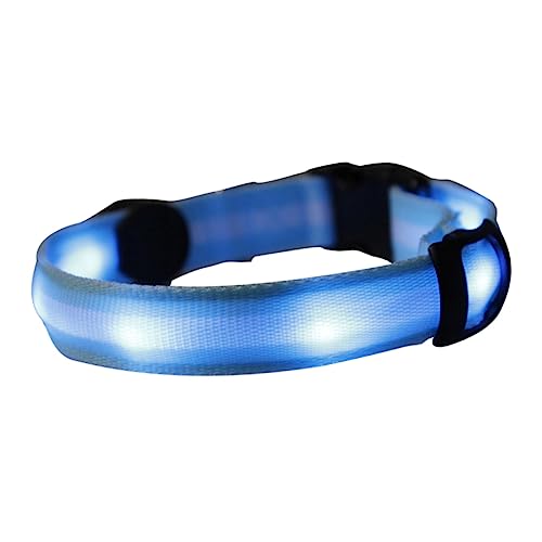 POPETPOP Adjustable Hundehalsband Nylon Blau Leuchtendes Sicherheitslicht Für Nächtliche Betriebsmodi Reflektierend Für Kleine Große Hunde von POPETPOP