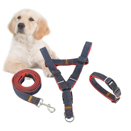 POPETPOP Traktionsseil Brustgurt Halsband Haustier Trainingsleine POPETPOP Traktionsseil Brustgurt Halsband Haustier Trainingsleine von POPETPOP