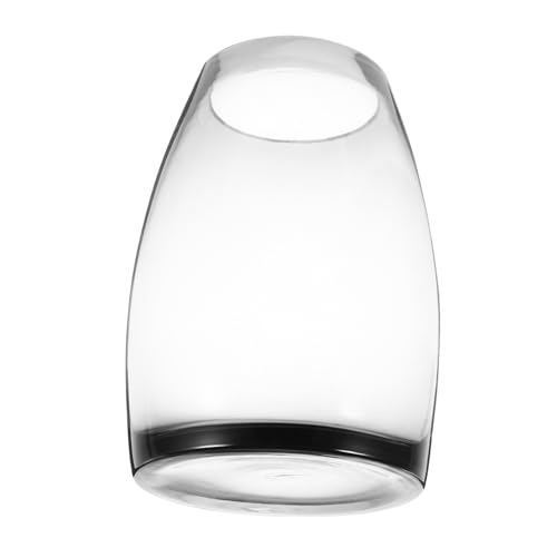 POPETPOP Mikrolandschaftsvase Aus Glas Fischbecken Aus Glas Fischvorräte Dekoratives Aquarium Mikropflanzenflasche Pflanzenterrarium Desktop-Aquarium Moos-mikro-landschaftsvase Transparent von POPETPOP
