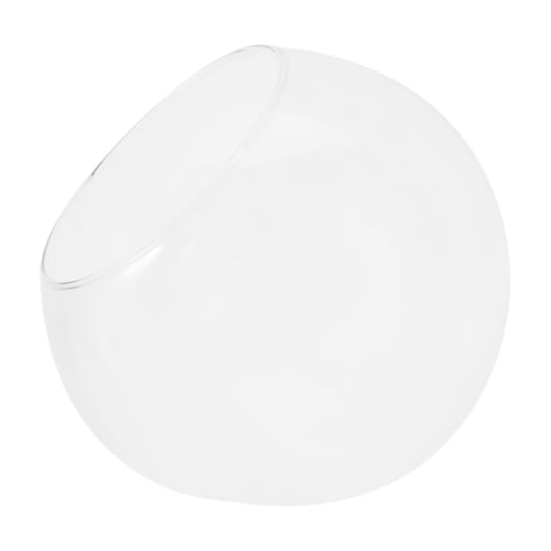 POPETPOP Glasterrarium Mit Schräger Öffnung Hydrokultur-pflanzgefäß Dekorative Blumenflasche Luftpflanzen- Sukkulenten-vase Klarer Glasbehälter Mikrolandschaftskugel Für Zuhause Und POPETPOP Glasterrarium Mit Schräger Öffnung Hydrokultur-pflanzgefäß Dekorative Blumenflasche Luftpflanzen- Sukkulenten-vase Klarer Glasbehälter Mikrolandschaftskugel Für Zuhause Und von POPETPOP