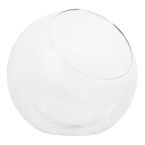 POPETPOP Mikrolandschaftsvase aus Glas Fischglasvase Terrarienkugel Terrarienschalen Fischglas aus Glas hydroponischer Pflanzer Bubble -Schüssel Gla -Terrarium Transparent POPETPOP Mikrolandschaftsvase aus Glas Fischglasvase Terrarienkugel Terrarienschalen Fischglas aus Glas hydroponischer Pflanzer Bubble -Schüssel Gla -Terrarium Transparent von POPETPOP