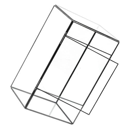 POPETPOP Öko-Desktop-landschaftstank Klare Töpfe Für Pflanzen Vermehrungsvasen Für Pflanzen Quadratische Pflanzentöpfe Behälter Wannen Terrakotta Trog Bausatz Speichern Baum Selbst Zinn von POPETPOP