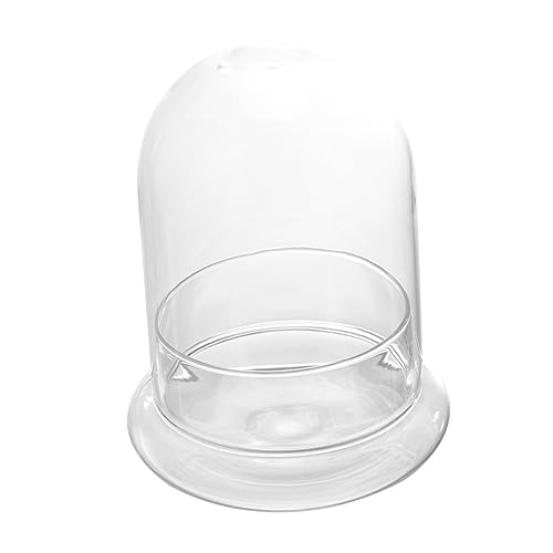 POPETPOP Ökologische Flasche Moss Terrarienkuppel Moosglas Home Decor wohnungseinrichtung Kerzen hochzeitsdeko Glas -Jar -Terrarium Glasgefäß für Terrarium Borosilikatglas Transparent von POPETPOP