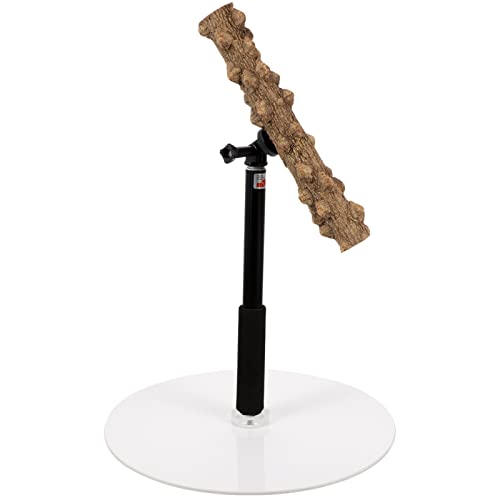 POPETPOP Papageienbarsch Verstellbare Papageienstange Käfigständer Für Sittiche Vogel t Barsch Vogeltischplattform Spielständer Holz Papageienspielplatz Steht Metall Vögel Einstellbar POPETPOP Papageienbarsch Verstellbare Papageienstange Käfigständer Für Sittiche Vogel t Barsch Vogeltischplattform Spielständer Holz Papageienspielplatz Steht Metall Vögel Einstellbar von POPETPOP