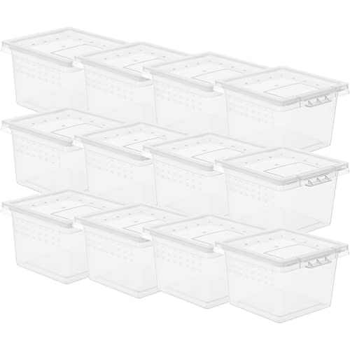 POPETPOP Reptilienzuchtbox – 20 Stück Reptilien-Terrarium, Kunststoff, Reptilien-Futterbox, Schlangenzuchtbehälter, Reptilienkäfig, transparenter Brutbehälter für Schildkröten, Spinne von POPETPOP