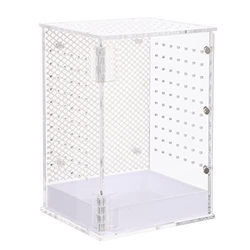 POPETPOP Reptilienzuchtbox Acryl Futterbox Reptilienhabitat Terrarium Klettern Heimtierzuchtbox Transparent Reptilienzuchtbox für Kleintiere Home Office POPETPOP Reptilienzuchtbox Acryl Futterbox Reptilienhabitat Terrarium Klettern Heimtierzuchtbox Transparent Reptilienzuchtbox für Kleintiere Home Office von POPETPOP