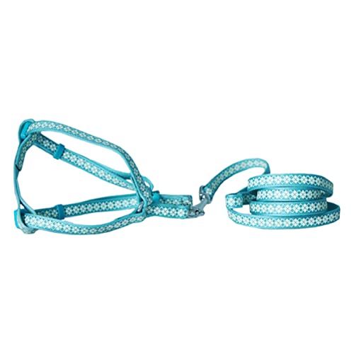 POPETPOP Hundeleine Für Welpenhalsband-Set Reflektierend Verschleißfest Für Outdoor-aktivitäten von POPETPOP