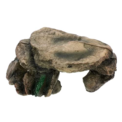 POPETPOP Schildkröten-Terrasse Frosch Käfig Plattform Meeresschildkrötendekor Bausatz coop Terrarium zubehör Terrarium Dekoration Tierhöhle Spinnenunterkunft Gecko unterhaltsamer Ort Harz POPETPOP Schildkröten-Terrasse Frosch Käfig Plattform Meeresschildkrötendekor Bausatz coop Terrarium zubehör Terrarium Dekoration Tierhöhle Spinnenunterkunft Gecko unterhaltsamer Ort Harz von POPETPOP