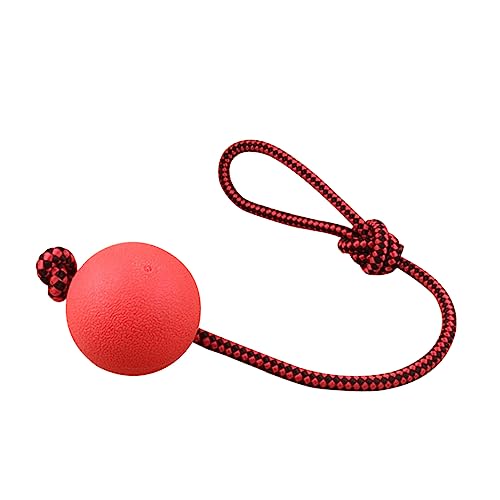 POPETPOP Seilbälle Für Hunde Hundespielzeug Mit Seil Und Ball Gummi Auf Seil Hundespielzeug Ball Mit Seil Holen Agility-trainingsgeräte Für Hunde Hund Am Seil Seilball Unzerstörbar POPETPOP Seilbälle Für Hunde Hundespielzeug Mit Seil Und Ball Gummi Auf Seil Hundespielzeug Ball Mit Seil Holen Agility-trainingsgeräte Für Hunde Hund Am Seil Seilball Unzerstörbar von POPETPOP