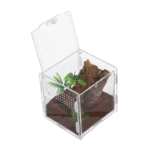 POPETPOP Terrarium Für Springspinnen Und Reptilien Kompaktes Spinnengehege 9x9x9.5cm Transparentes Design Inklusive Fütterungszange Für Innenbereich POPETPOP Terrarium Für Springspinnen Und Reptilien Kompaktes Spinnengehege 9x9x9.5cm Transparentes Design Inklusive Fütterungszange Für Innenbereich von POPETPOP