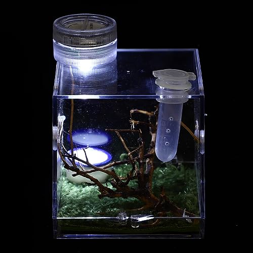POPETPOP Springendes Spinnengehege - Tarantel Gehege mit Lampe Acryl Reptilien Terrarien Spinnen Terrarien Zuchtbox von POPETPOP