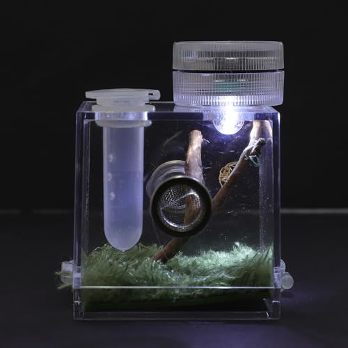 POPETPOP Springspinnengehege - Vogelspinnengehege mit Lampe Acryl Reptilienterrarien Spinnenterrarien Zuchtbox von POPETPOP