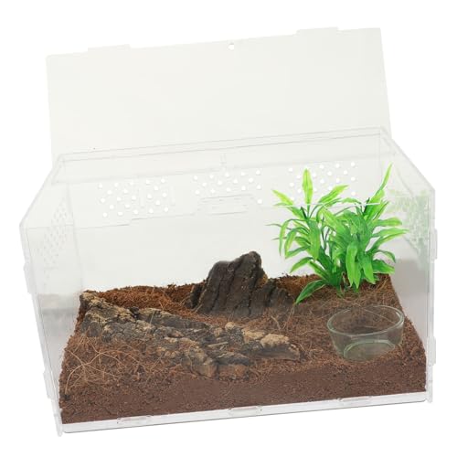 POPETPOP Reptilienbecken Aus Acryl für Zuhause Einfach Zu Verwenden und Zu Waschen für Eidechsen Frösche und Einsiedlerkrebse POPETPOP Reptilienbecken Aus Acryl für Zuhause Einfach Zu Verwenden und Zu Waschen für Eidechsen Frösche und Einsiedlerkrebse von POPETPOP