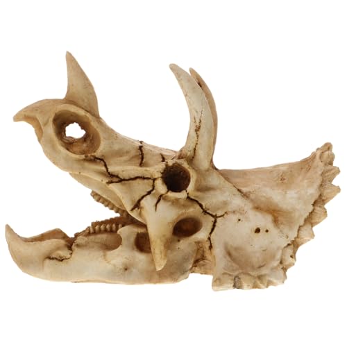 POPETPOP Dinosaurier Schädel Ornament Für Aquarium Und Terrarium Höhle Für Kleine Fische Und Reptilien Dekoration Aus Harz Für Naturnahe Gestaltung POPETPOP Dinosaurier Schädel Ornament Für Aquarium Und Terrarium Höhle Für Kleine Fische Und Reptilien Dekoration Aus Harz Für Naturnahe Gestaltung von POPETPOP