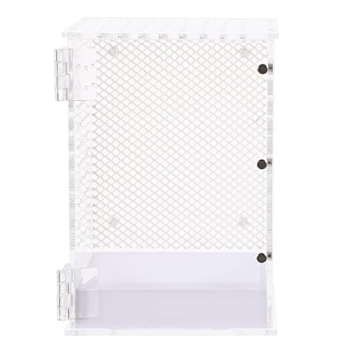 POPETPOP Gehege Zuchtbox Tarantula Gehege Spinnen Brutbox Insekten Reptilien Zuchtbox Insektenbox Outdoor-Laufstall POPETPOP Gehege Zuchtbox Tarantula Gehege Spinnen Brutbox Insekten Reptilien Zuchtbox Insektenbox Outdoor-Laufstall von POPETPOP