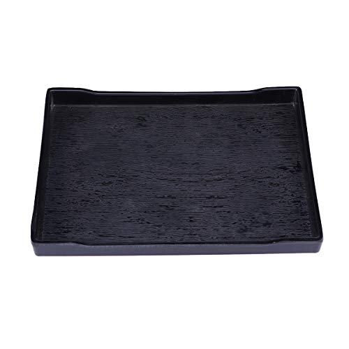 Popetpop Reptilien-Wassernapf für Reptilien, groß, auch für Bad, flache Wasserschale für Reptilien, kleine Größe, Size 2, schwarz Popetpop Reptilien-Wassernapf für Reptilien, groß, auch für Bad, flache Wasserschale für Reptilien, kleine Größe, Size 2, schwarz von POPETPOP