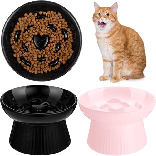 Keramik Slow Feeder Katzennapf 2 Stück, Slow Feeder Erhöhter Katzennapf Futter Erhöhtes Trockenfutter und Wasser Leicht zu reinigen Haustiernäpfe Hoher Rand für kleine Hunde, spülmaschinenfest Keramik Slow Feeder Katzennapf 2 Stück, Slow Feeder Erhöhter Katzennapf Futter Erhöhtes Trockenfutter und Wasser Leicht zu reinigen Haustiernäpfe Hoher Rand für kleine Hunde, spülmaschinenfest von POPUPWAVE