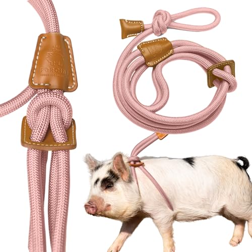 Mini-Schweinchengeschirr und Leine, voll verstellbar, Unendlichkeitssymbol Leine, Step-in-Geschirr, Potbelly Supplies, All-in-One – ideal für kleine und große Haustierschweine (Mauve Pink, L) von PORCINE