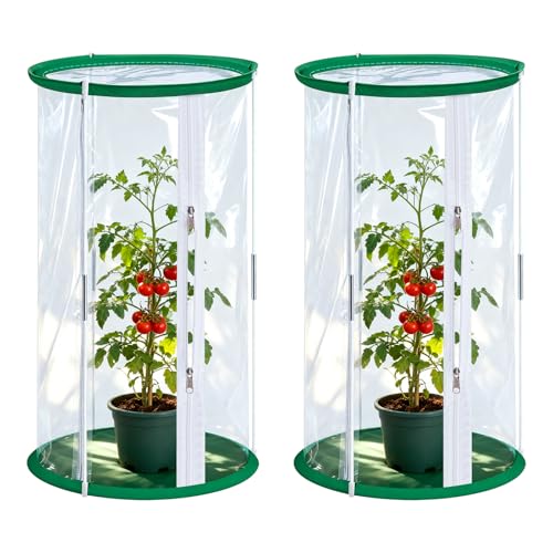 2 Stück Gewächshaus Klein, 52x28CM Zuchtkäfig für Schmetterlinge, Transparenter Netzkäfig, Überwinterungszelt für Zucht von Kleinen Insekten, Schmetterlingen und Pflanzenbeobachtung 2 Stück Gewächshaus Klein, 52x28CM Zuchtkäfig für Schmetterlinge, Transparenter Netzkäfig, Überwinterungszelt für Zucht von Kleinen Insekten, Schmetterlingen und Pflanzenbeobachtung von PORFOYO