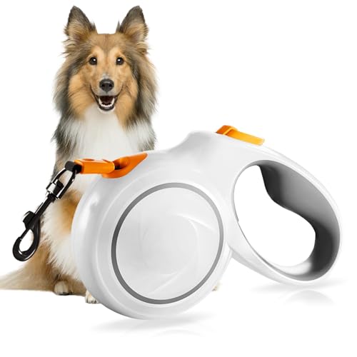 5M Einziehbare Hundeleine, Hundeleine Ausziehbar, Ausziehbare Hundetrainingsleine, Rollleine, Rollleine Für Kleine Hunde, Laufleine Für Laufleine Für GroßeBis 50kgorange 5M Einziehbare Hundeleine, Hundeleine Ausziehbar, Ausziehbare Hundetrainingsleine, Rollleine, Rollleine Für Kleine Hunde, Laufleine Für Laufleine Für GroßeBis 50kgorange von PORFOYO